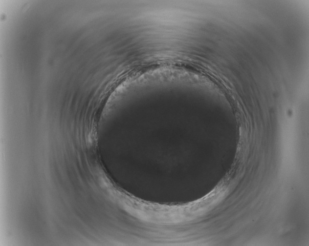 X0000063500048200601231448