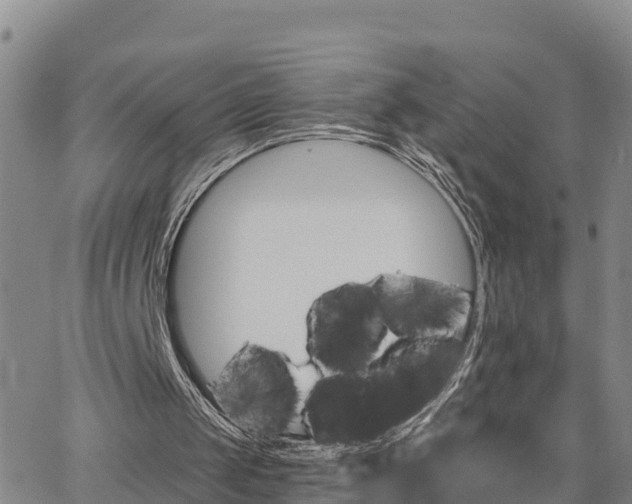 X0000063500049200601231447