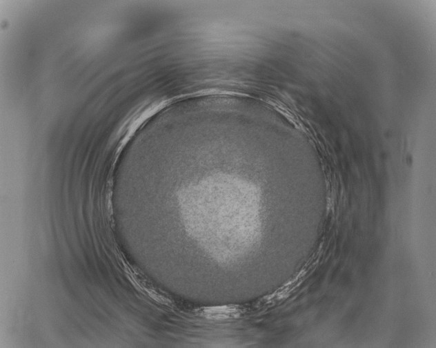 X0000063500050200601231447