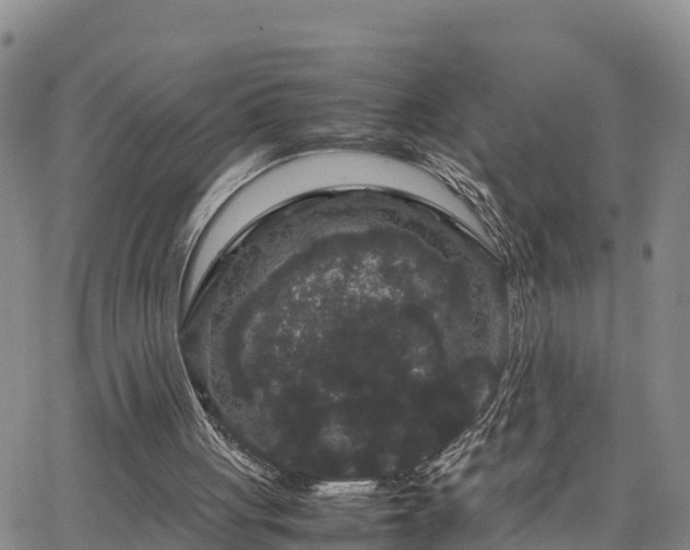 X0000063500051200601231447