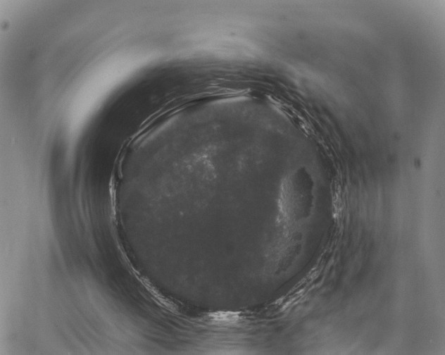 X0000063500052200601231447