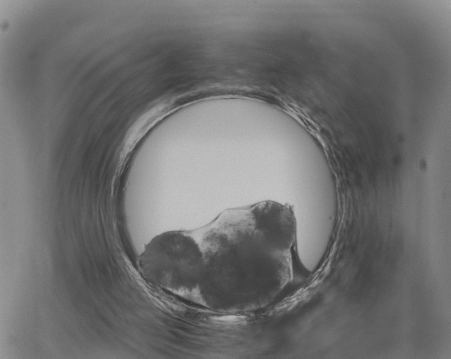 X0000063500053200601231447