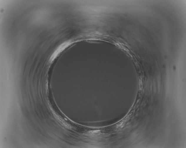 X0000063500054200601231447