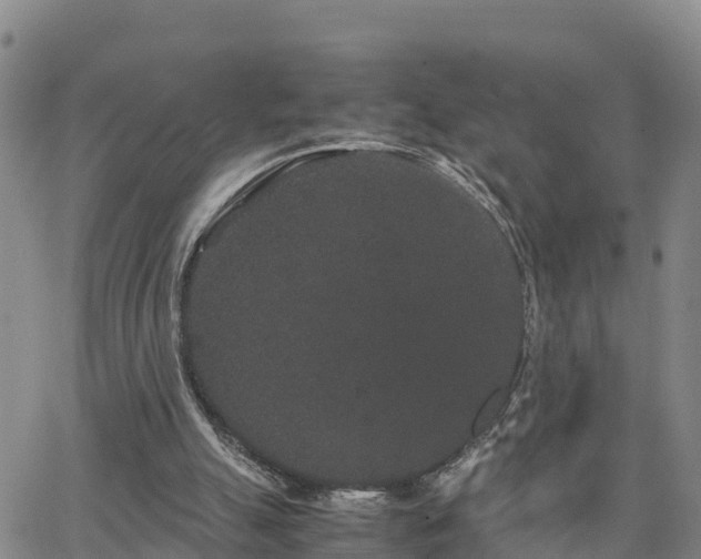 X0000063500055200601231447