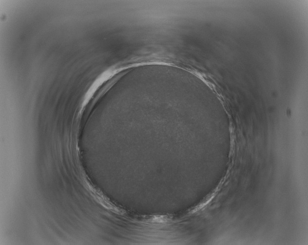 X0000063500056200601231447