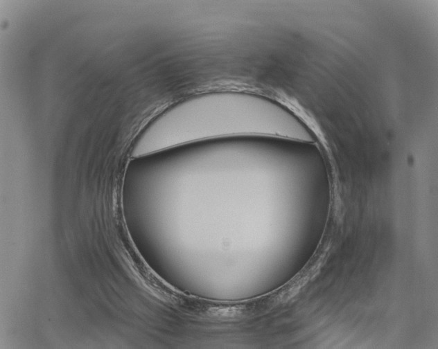 X0000063500057200601231447