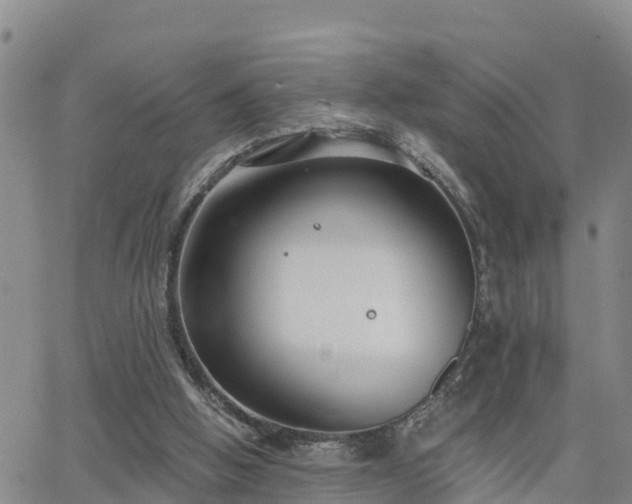 X0000063500058200601231447