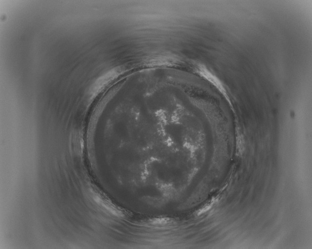 X0000063500059200601231447