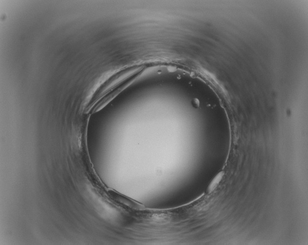 X0000063500060200601231447