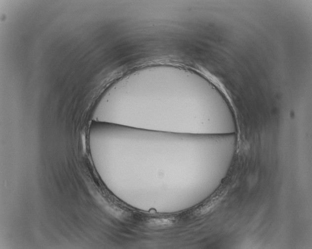 X0000063500061200601231447