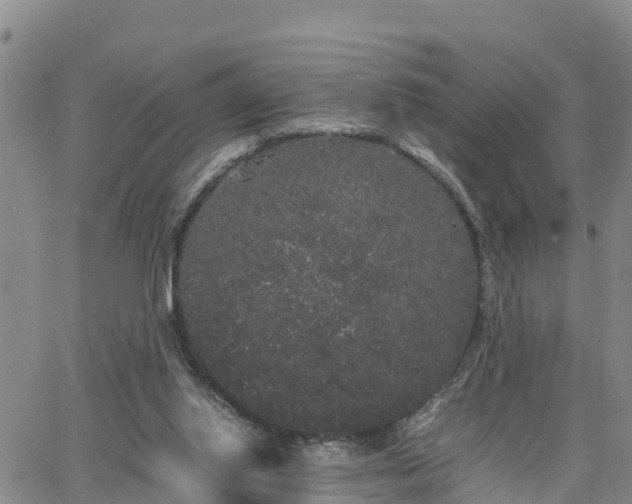 X0000063500062200601231447