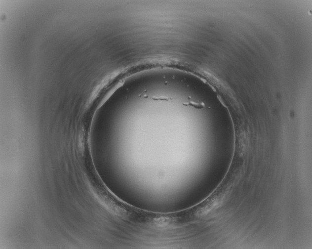 X0000063500064200601231447