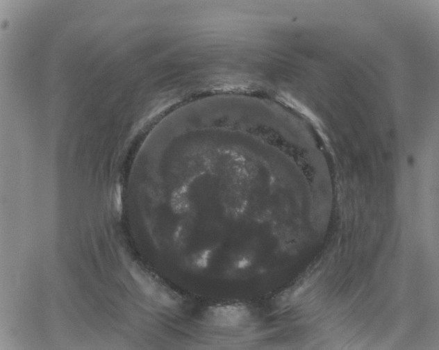 X0000063500067200601231447