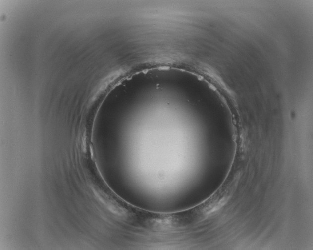 X0000063500068200601231447