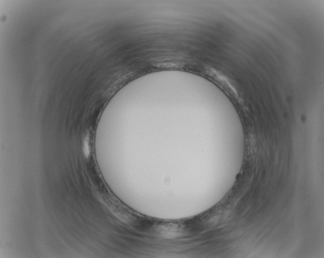 X0000063500069200601231447