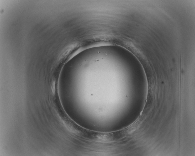 X0000063500070200601231447