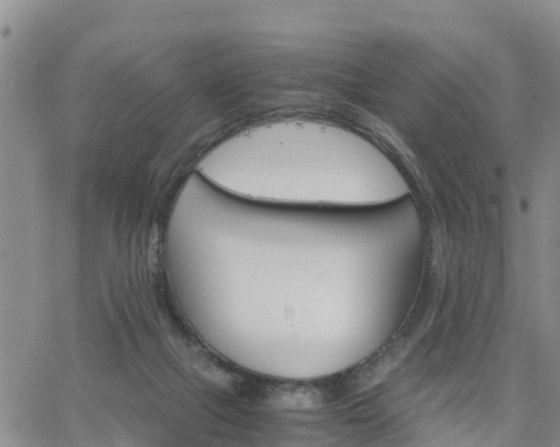 X0000063500073200601231448