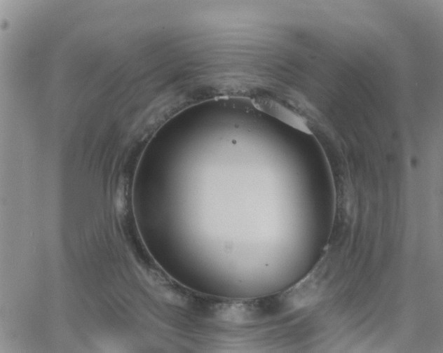 X0000063500074200601231448