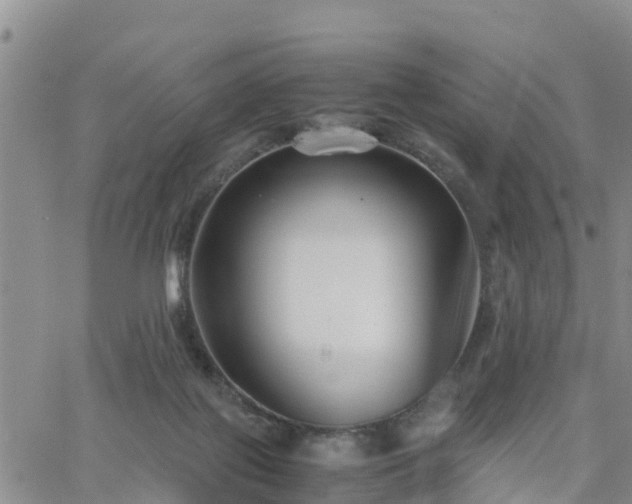 X0000063500075200601231448