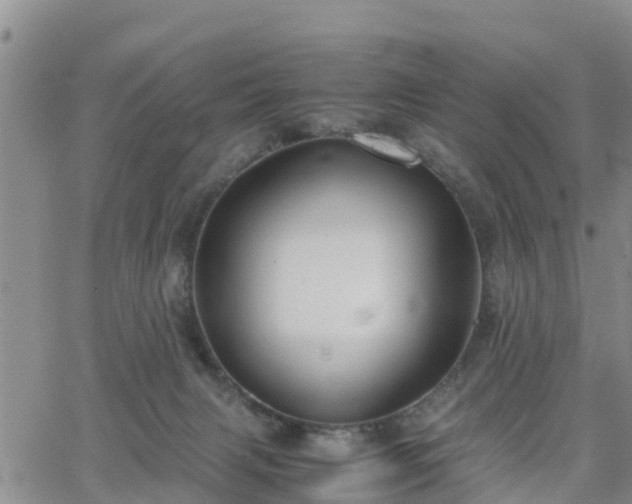 X0000063500079200601231448