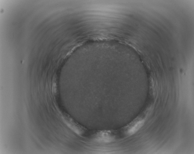 X0000063500080200601231448