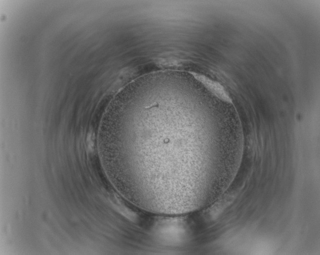 X0000063500081200601231448