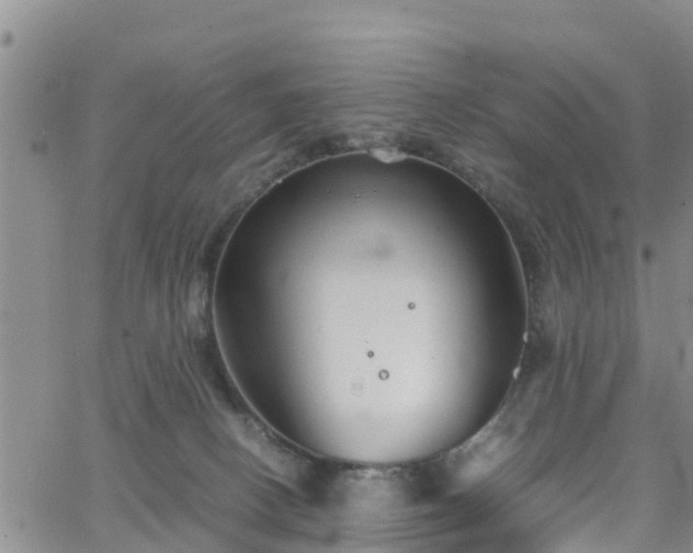 X0000063500082200601231448