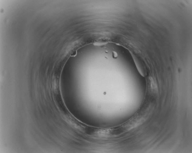 X0000063500084200601231448