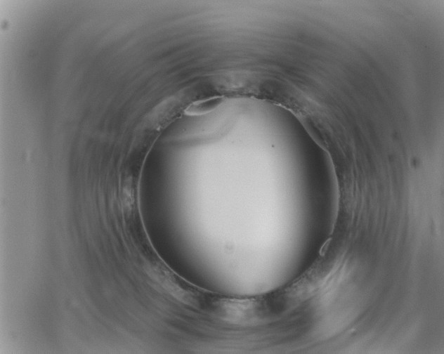 X0000063500085200601231448