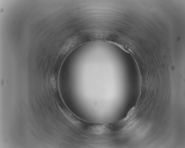 X0000063500086200601231448