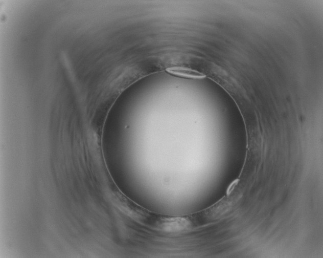 X0000063500087200601231448