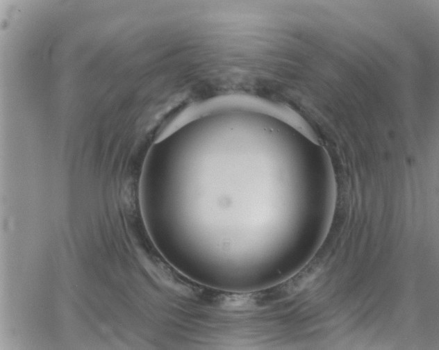 X0000063500088200601231448