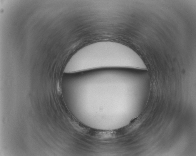 X0000063500089200601231448