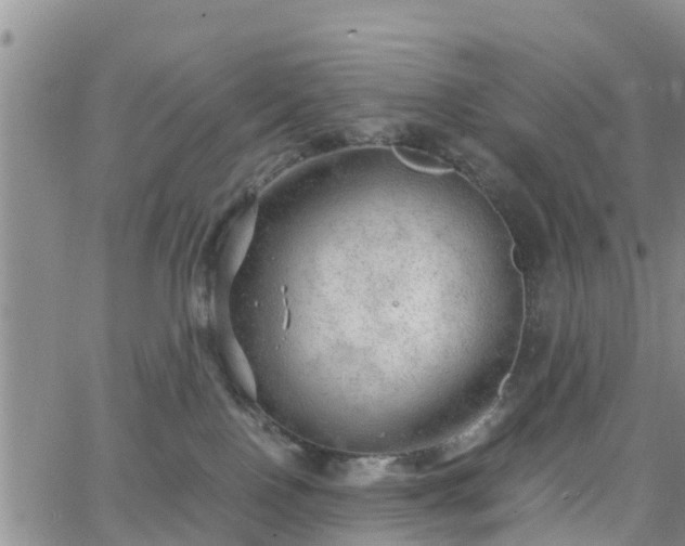 X0000063500090200601231448