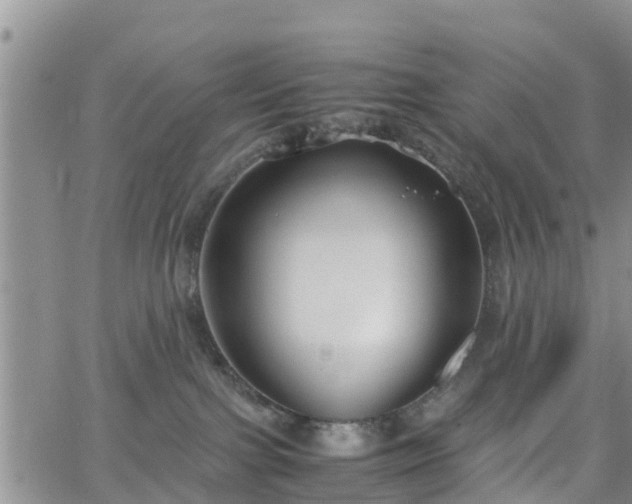 X0000063500091200601231448