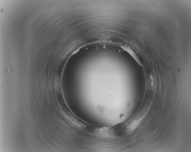 X0000063500092200601231448