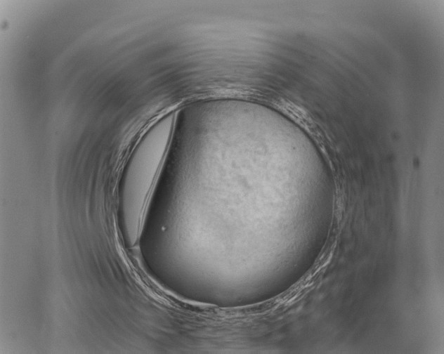 X0000063500097200601231447