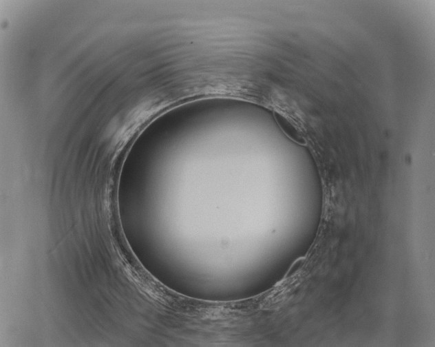 X0000063500098200601231447