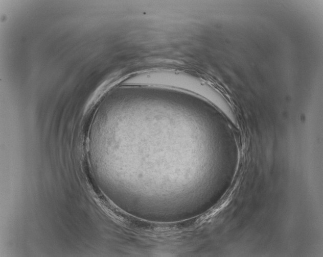 X0000063500101200601231447