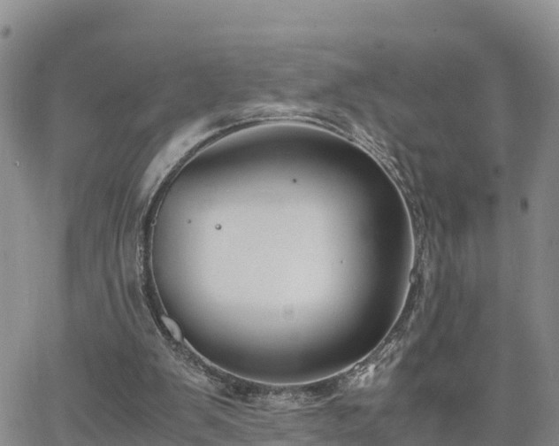 X0000063500103200601231447