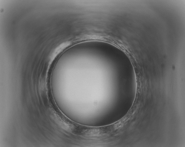 X0000063500104200601231447