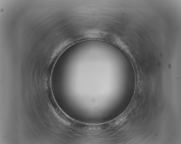 X0000063500106200601231447