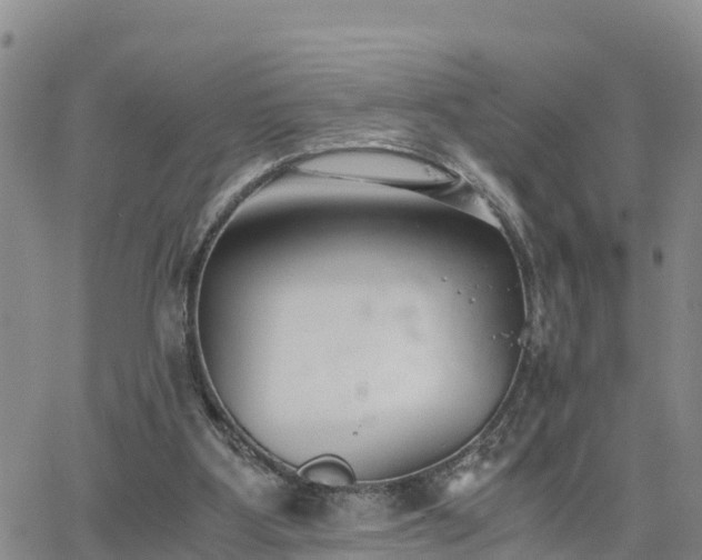 X0000063500107200601231447