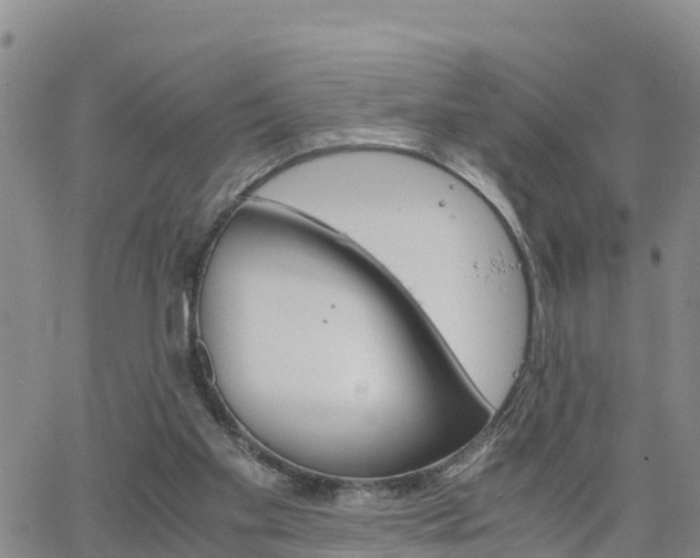 X0000063500109200601231447