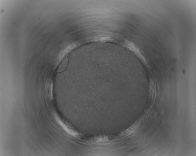 X0000063500110200601231447