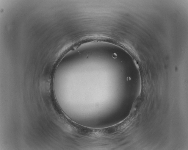 X0000063500111200601231447