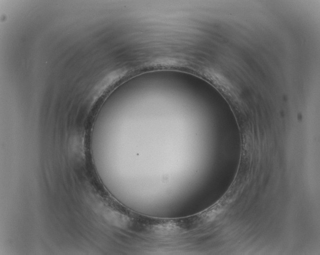 X0000063500112200601231447