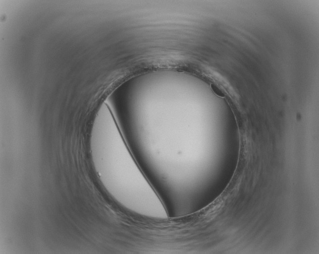 X0000063500113200601231447