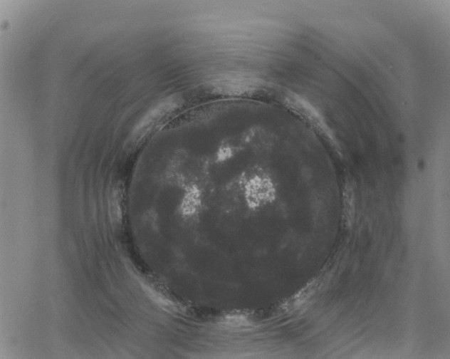 X0000063500114200601231447