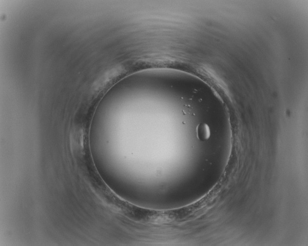 X0000063500115200601231447